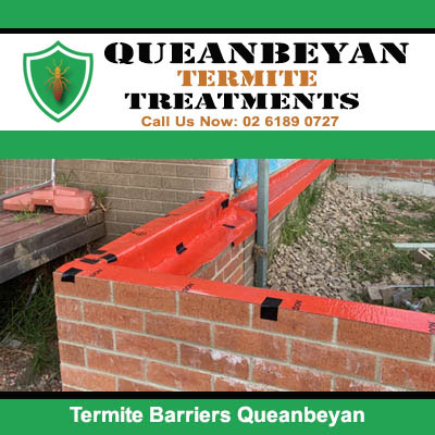 Physical termite barrier on brick in Queanbeyan