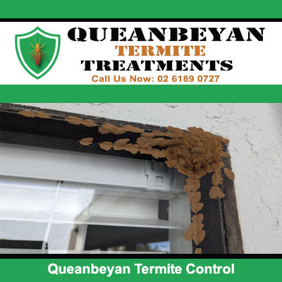 Termite mud tubes need termite control in Queanbeyan