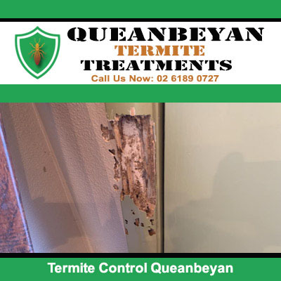 Wooden door frame requiring termite control in Queanbeyan