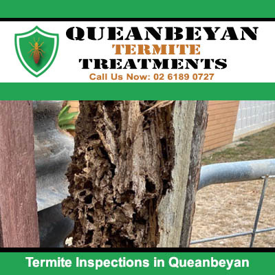 Damage to wooden fence for termite inspection in Queanbeyan